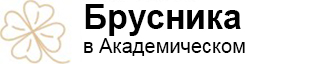 ЖК «Брусника в Академическом»